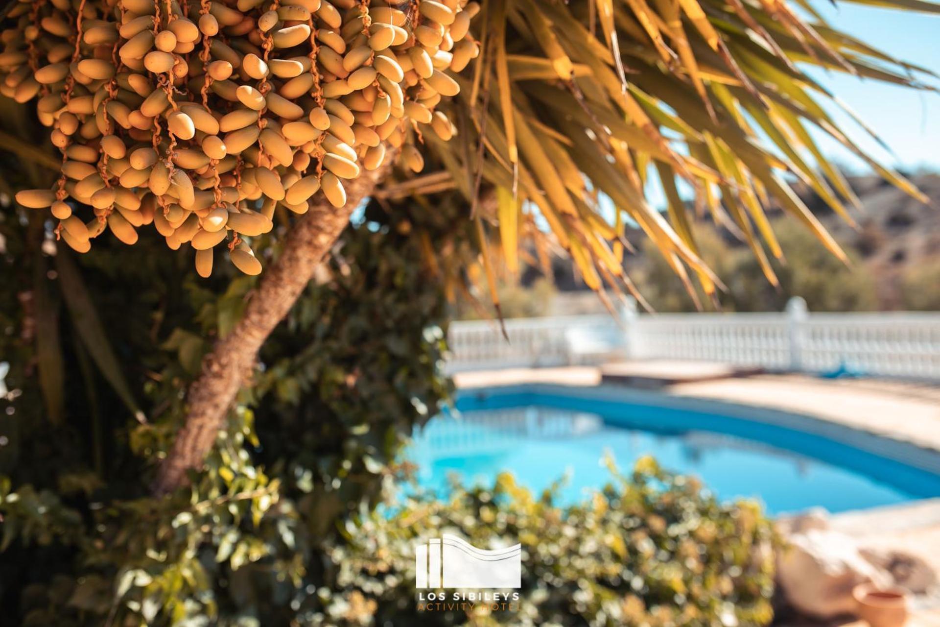 Hotel Los Sibileys Henares 외부 사진