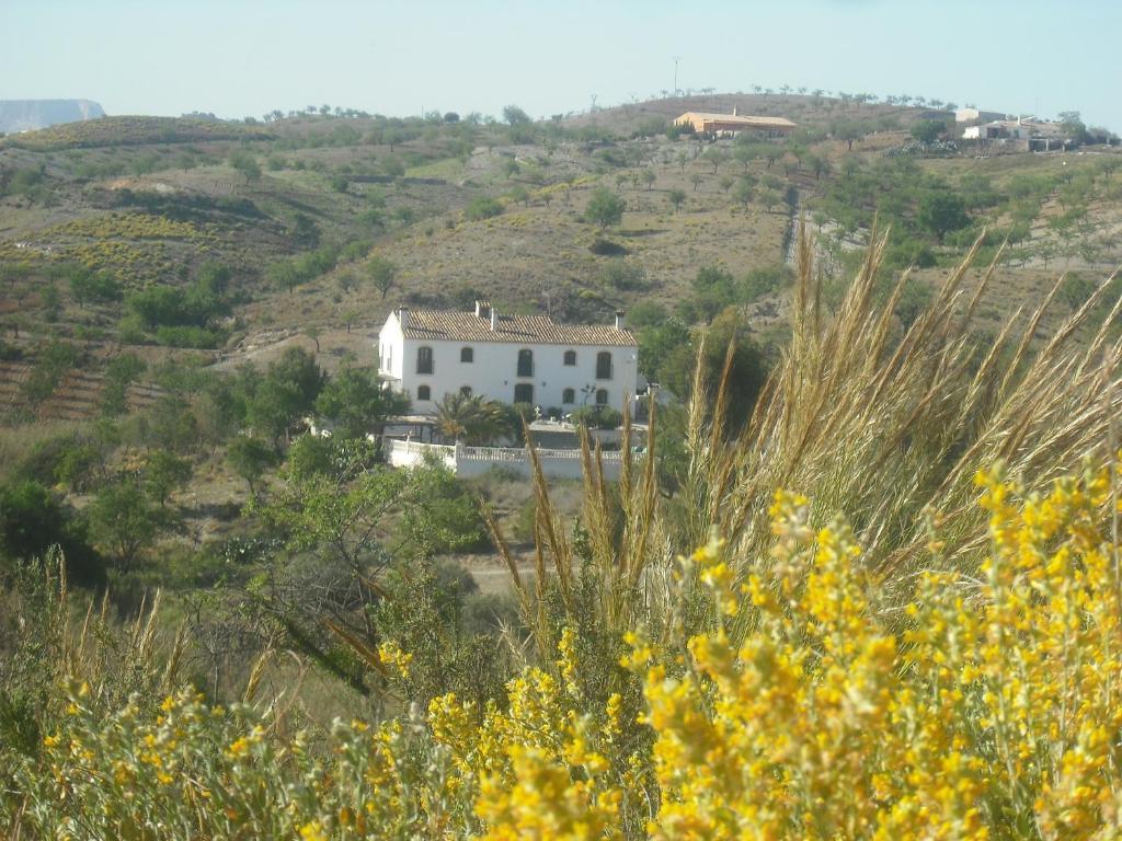 Hotel Los Sibileys Henares 외부 사진