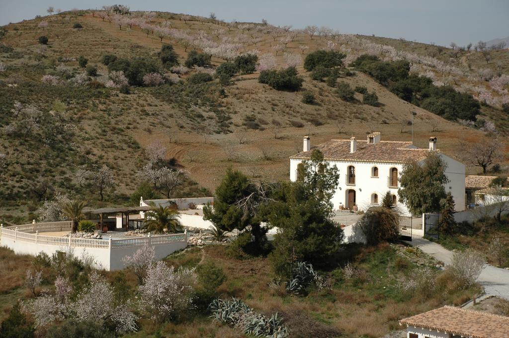 Hotel Los Sibileys Henares 외부 사진