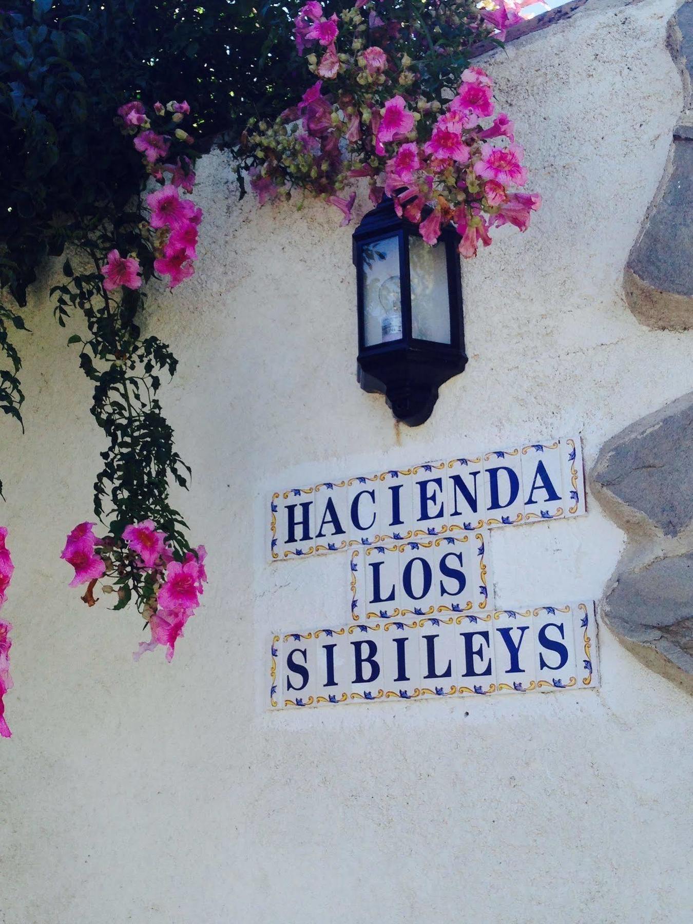 Hotel Los Sibileys Henares 외부 사진