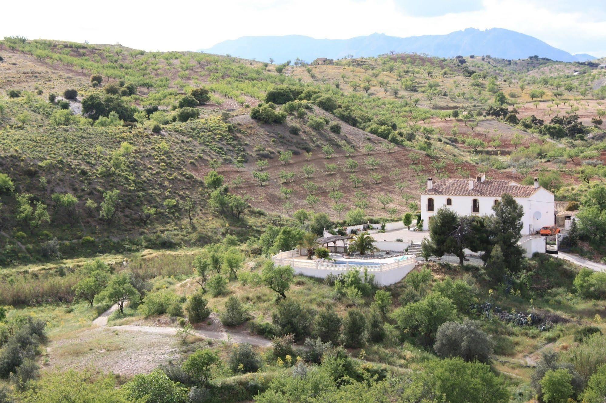 Hotel Los Sibileys Henares 외부 사진